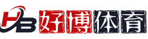 logo - 成都安信体育科技集团有限公司